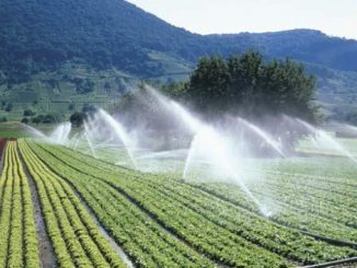 cotidianul agricol, irigatii, tva, agricultura