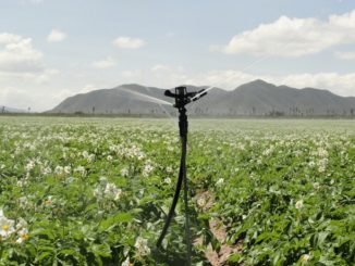 cotidianul_agricol, irigatii