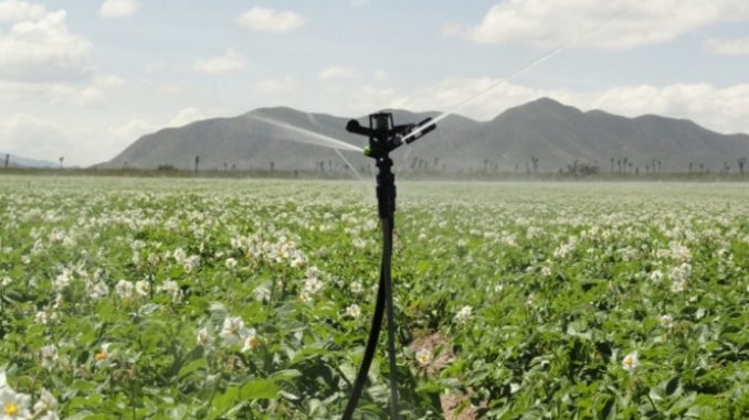 cotidianul_agricol, irigatii