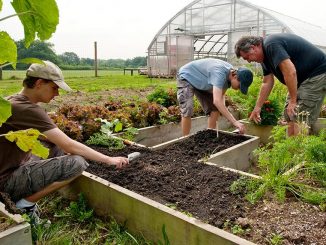 cotidianul_agricol, tineri_fermieri