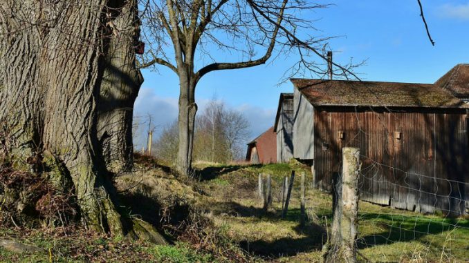 landscape-3417201_960_720