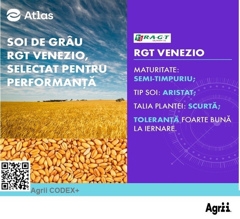 RGT VENEZIO, un soi de grâu recomandat pentru producții sigure ...