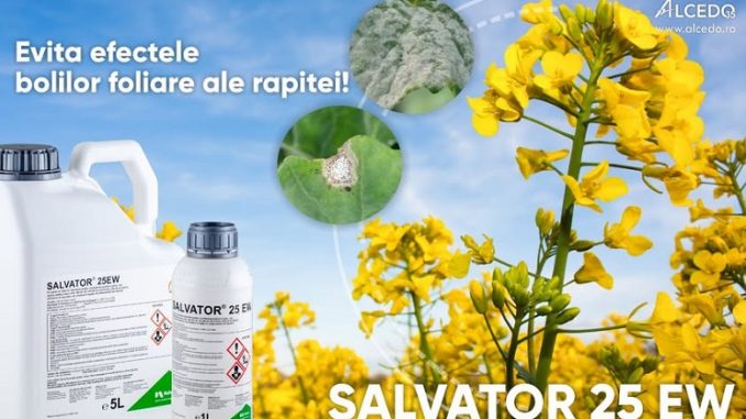 SALVATOR 25 EW